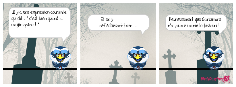 des fois ça marche, des fois ça marche pas ! ...