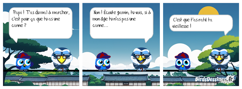 ☺ Le pourquoi une canne ☺☺
