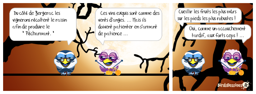 ahhh les vendanges tardives ...