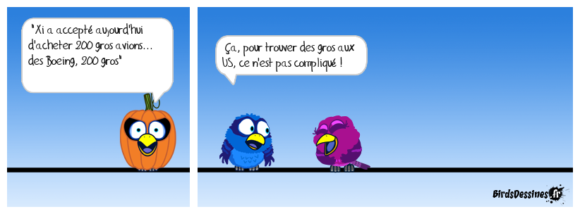 Xi va acheter des gros...