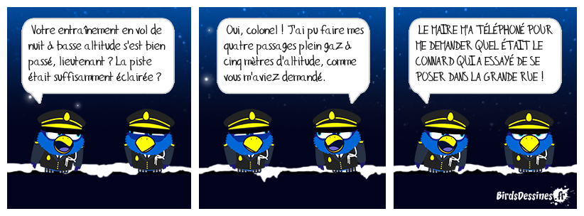 Vol de nuit