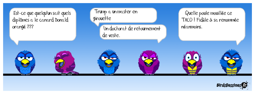 Études universitaires ...
