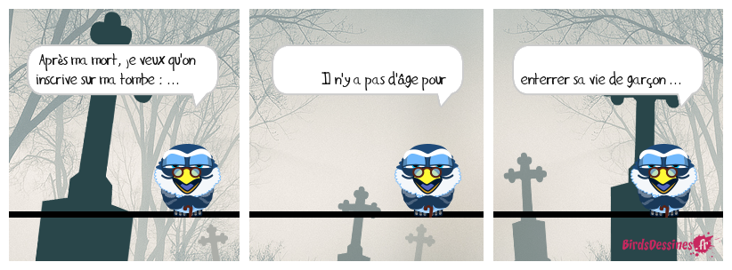 ça tombe bien 7 ! ...
