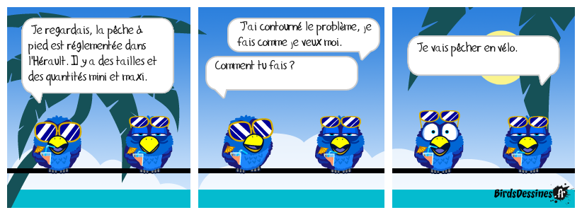 La débrouille.....