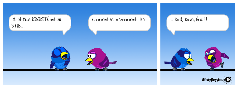 M. et Mme RIGIDITÉ