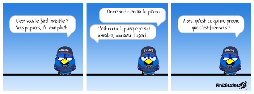 Venez voir le Bird invisible ! 10