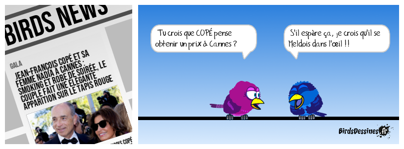 Copé à Cannes...
