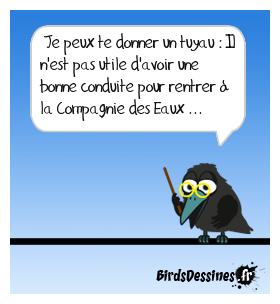 Délit de fuite ...
