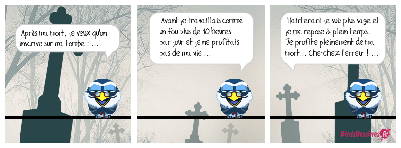 ça tombe bien 11 ! ...