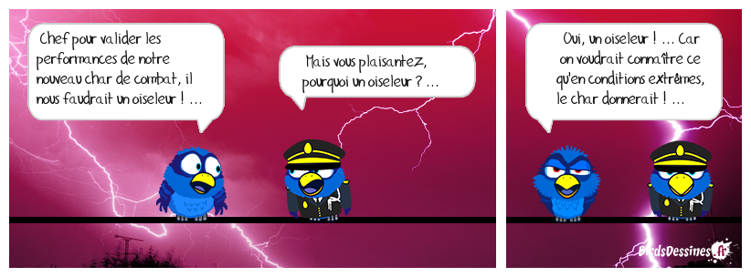 faut pas être à l'armée pour si peu ! ...