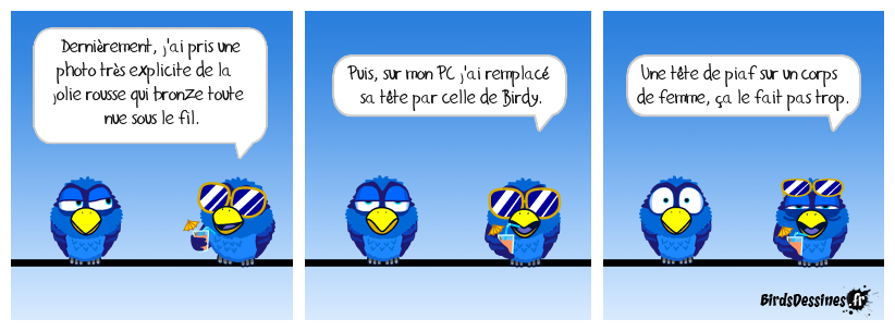 L'expérience imbécile