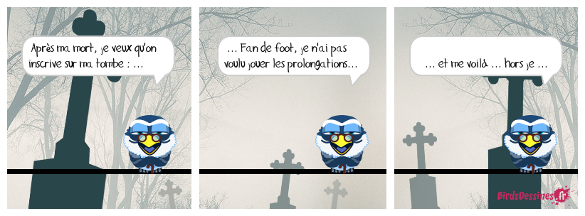 ça tombe bien 15 ! ...