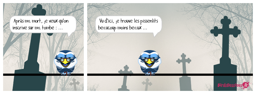 ça tombe bien 16 ! ...