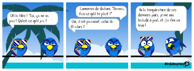 Pas le castor le plus utile au barrage.
