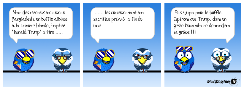 On a trouvé son sosie !