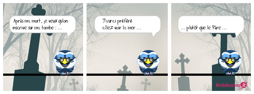 ça tombe bien 17 ! ...