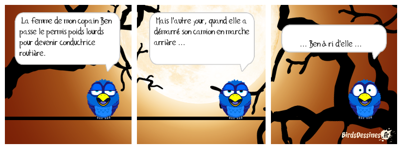 on ne dit pas chauffeuse routière ...