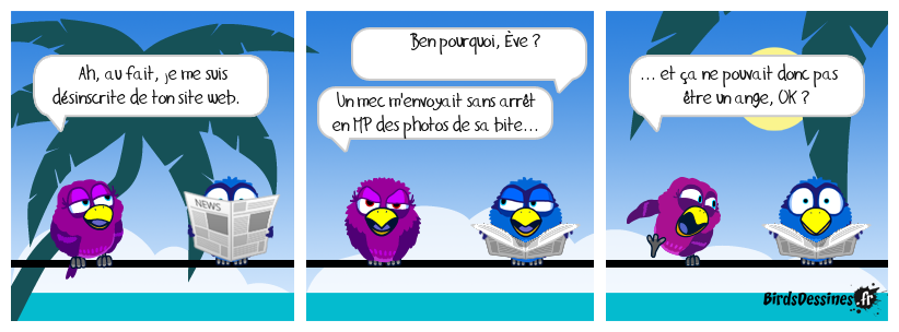 Chroniques du paradis terrestre 11