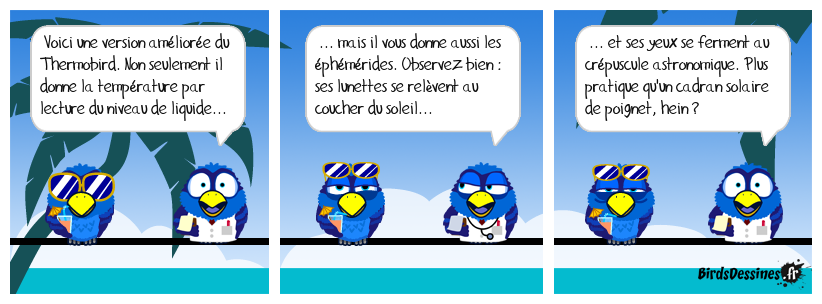 Le Bird inventeur a encore frappé !