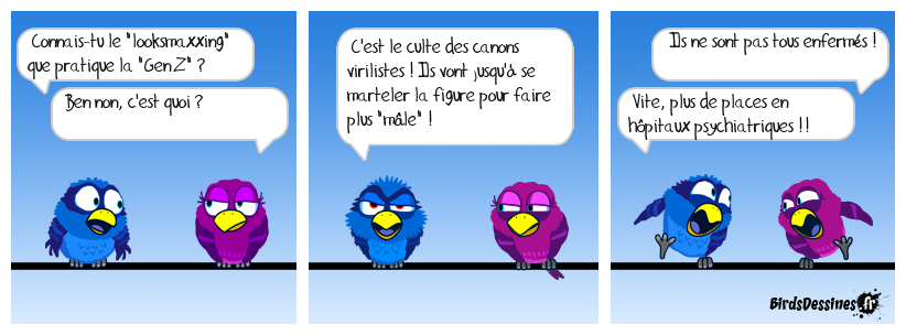 La Gen Z et le Looksmaxxing...
