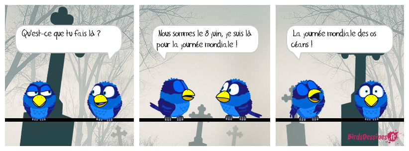 Journée mondiale des océans, bougre de....