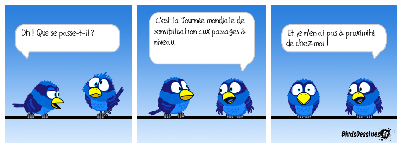 Ça c'est con !