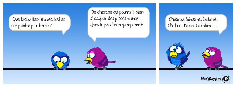 Qui va s'occuper des pièces jaunes ?
