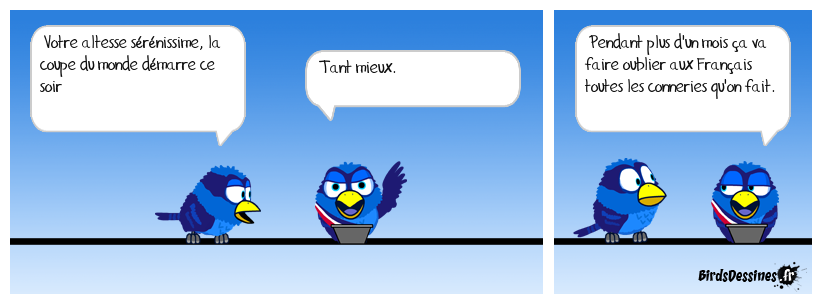 Une coupe du monde bienvenue....