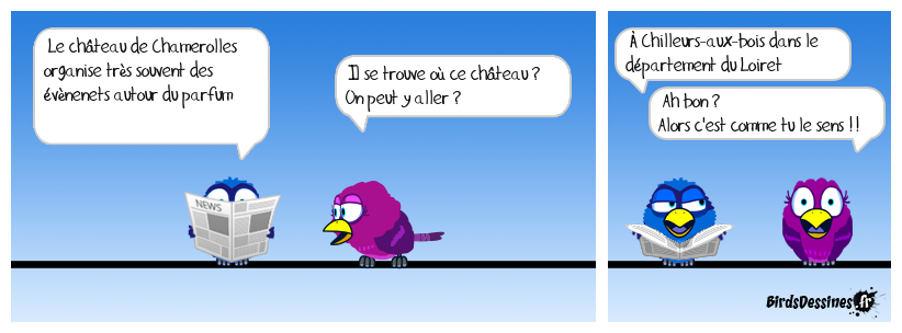 Le château de Chamerolles, c'est comme tu le sens !