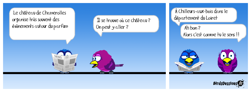 Le château de Chamerolles, c'est comme tu le sens !