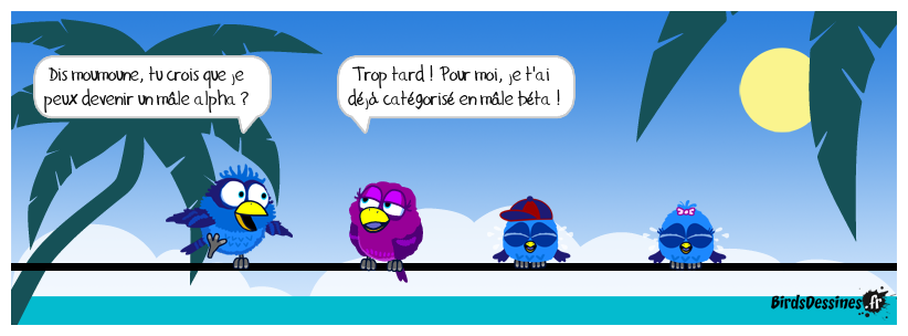 Le mâle béta !