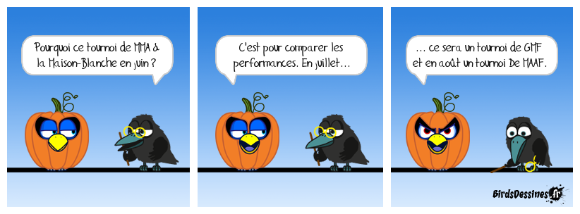 Il assure, ce canard orangé !