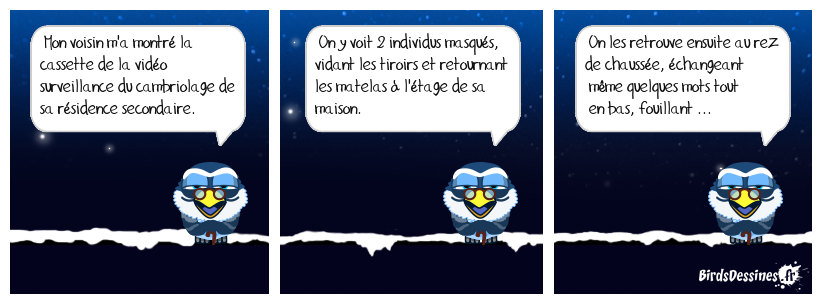 un voleur au pluriel ... des valises...