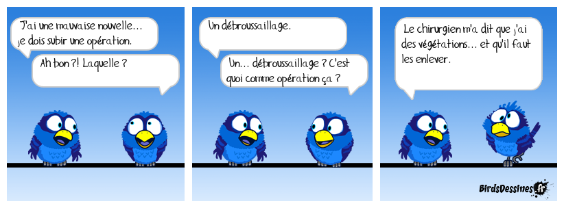 Le patient et son chirurgien-paysagiste
