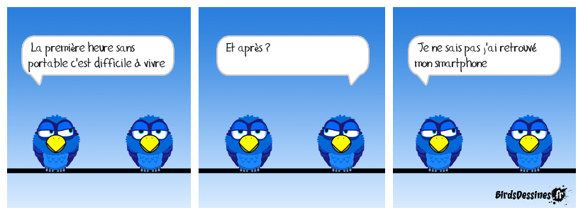 birds