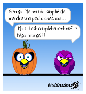 Faut pas énerver Georgia !