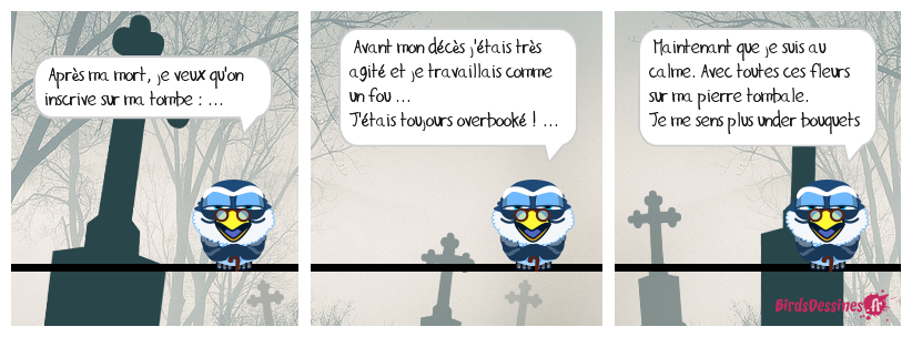 ça tombe bien 21 ! ...