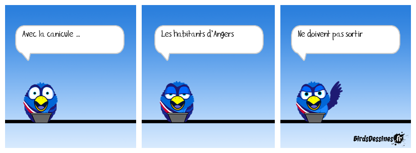 Qui prétend qu’ils n’ont pas de solution