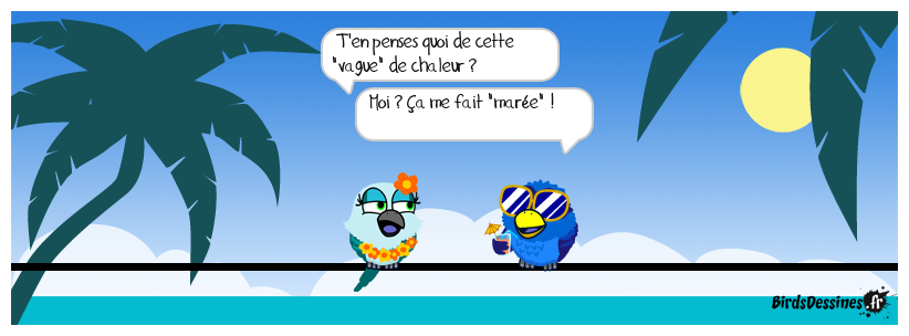 Y a pas de quoi surfer !