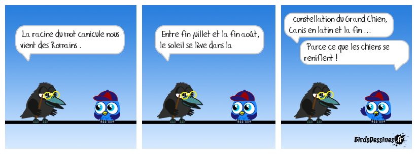 Mauvaise intuition