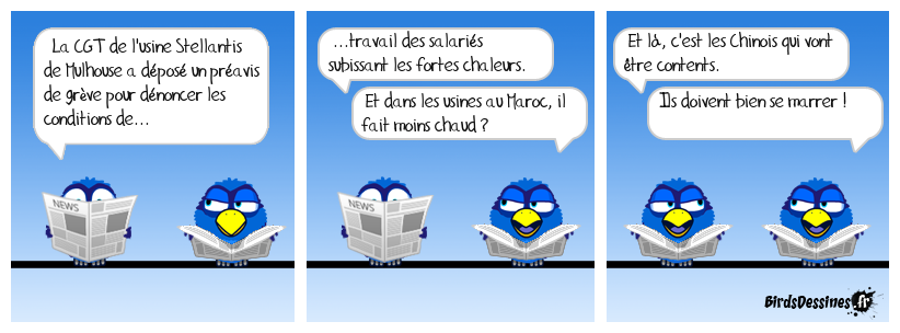 Ils sont en sucre ?