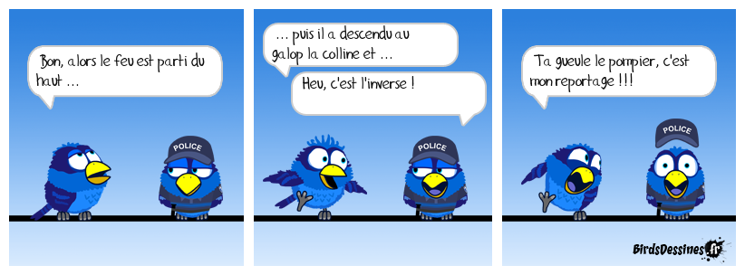 Espérons qu'il ne fera pas long feu sur B.F.M T.V !