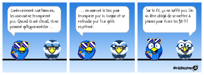 On voit rouge avec la canicule !