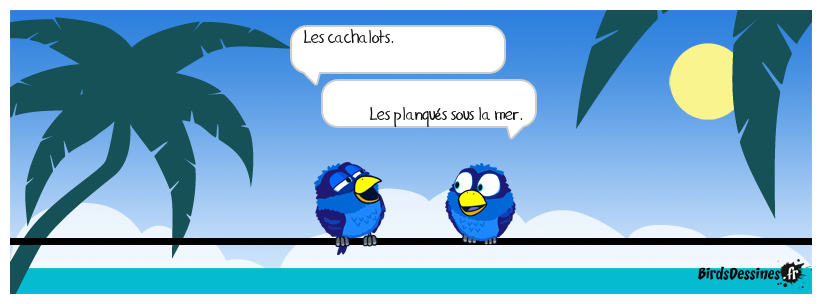 Titounesques