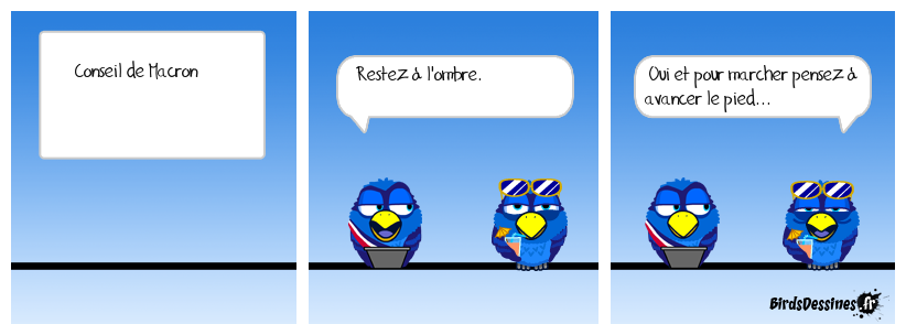 Conseil de Macron