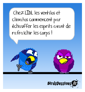 Ça chauffe chez LIDL !