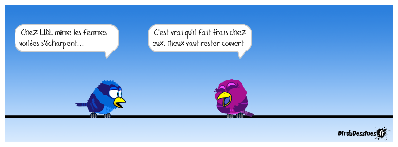 Il fait frais chez LIDL !