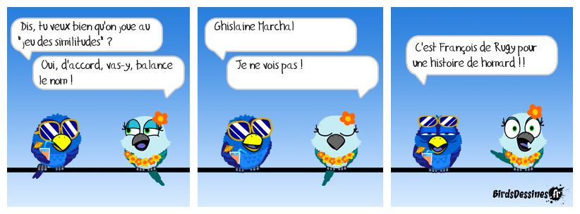 Le jeu des similitudes...