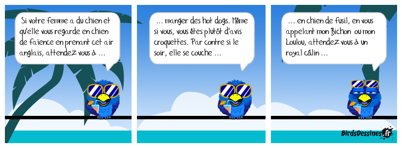 c'est chow chow ...