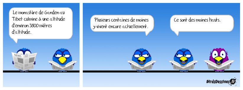 On va se culturer.